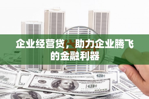 贵州企业经营贷，助力企业腾飞的金融利器