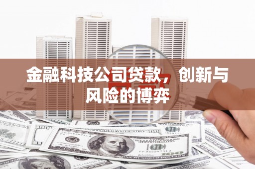 贵州金融科技公司贷款，创新与风险的博弈