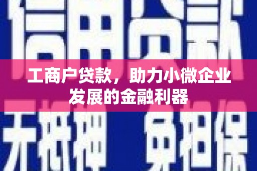 贵州工商户贷款，助力小微企业发展的金融利器