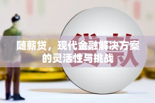 贵州随薪贷，现代金融解决方案的灵活性与挑战