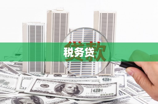 贵州税务贷