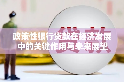 贵州政策性银行贷款在经济发展中的关键作用与未来展望