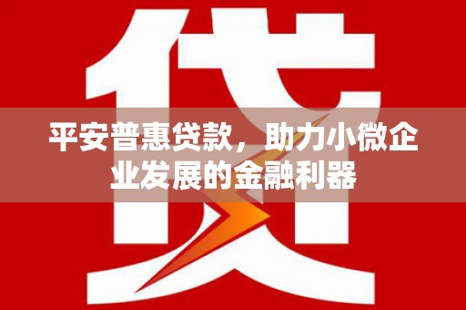 贵州平安普惠贷款，助力小微企业发展的金融利器