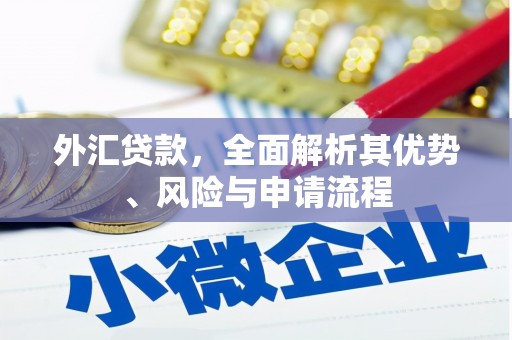 贵州外汇贷款，全面解析其优势、风险与申请流程