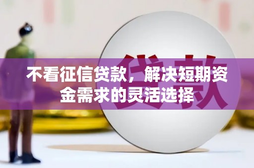贵州不看征信贷款，解决短期资金需求的灵活选择