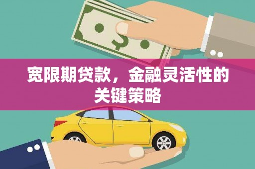 贵州宽限期贷款，金融灵活性的关键策略