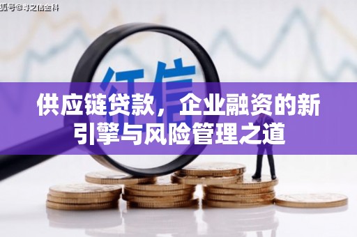 贵州供应链贷款，企业融资的新引擎与风险管理之道