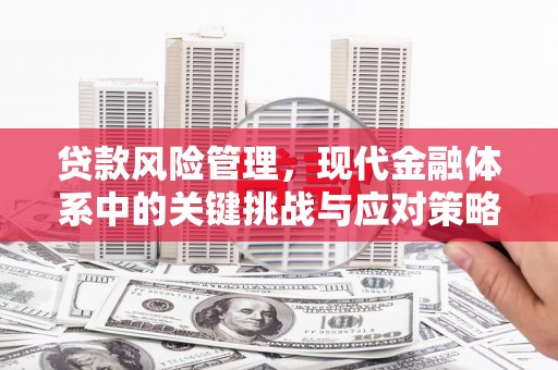 贵州贷款风险管理，现代金融体系中的关键挑战与应对策略
