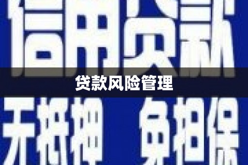 贵州贷款风险管理