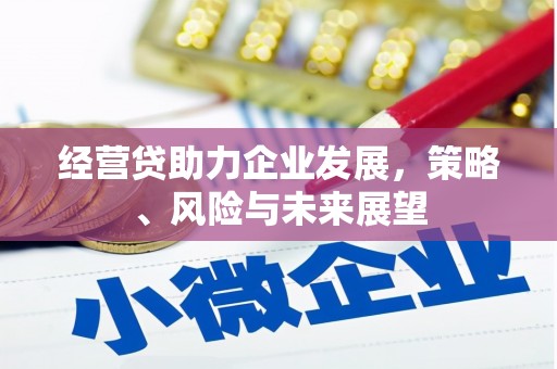 贵州经营贷助力企业发展，策略、风险与未来展望