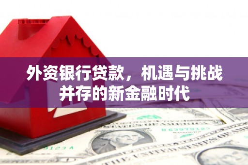 贵州外资银行贷款，机遇与挑战并存的新金融时代