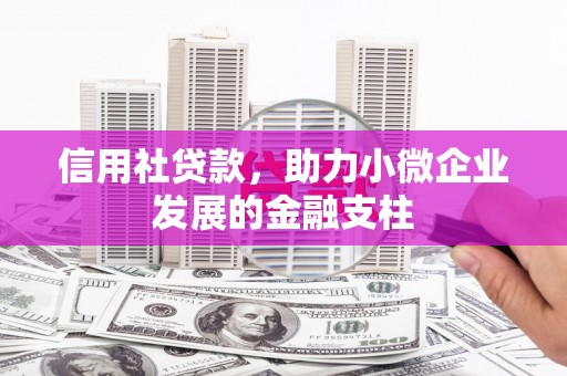 贵州信用社贷款，助力小微企业发展的金融支柱