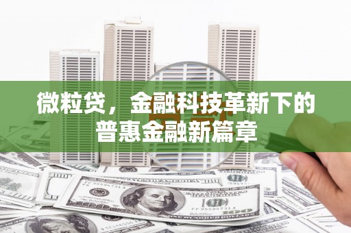 贵州微粒贷，金融科技革新下的普惠金融新篇章