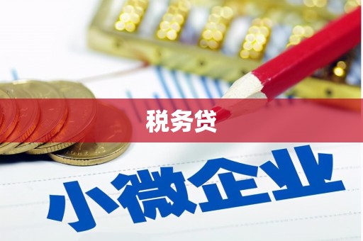 贵州税务贷
