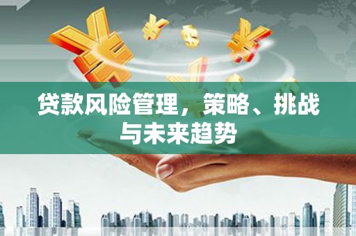 贵州贷款风险管理，策略、挑战与未来趋势
