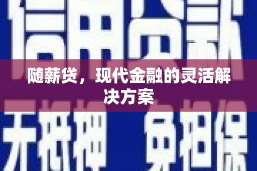贵州随薪贷，现代金融的灵活解决方案