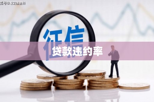 贵州贷款违约率