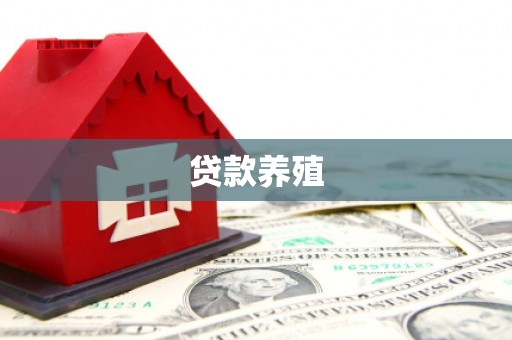 贵州贷款养殖