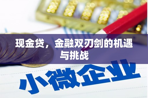 贵州现金贷，金融双刃剑的机遇与挑战