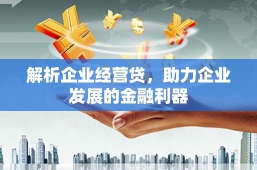 贵州解析企业经营贷，助力企业发展的金融利器