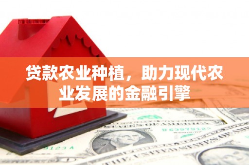 贵州贷款农业种植，助力现代农业发展的金融引擎