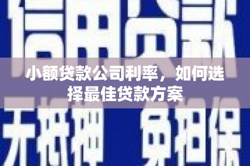 贵州小额贷款公司利率，如何选择最佳贷款方案