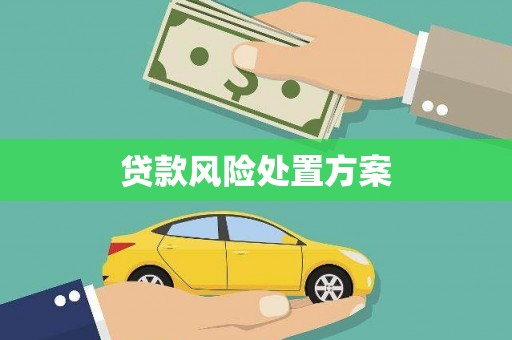贵州贷款风险处置方案