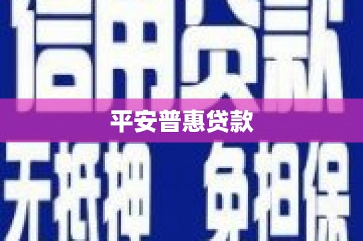 贵州平安普惠贷款