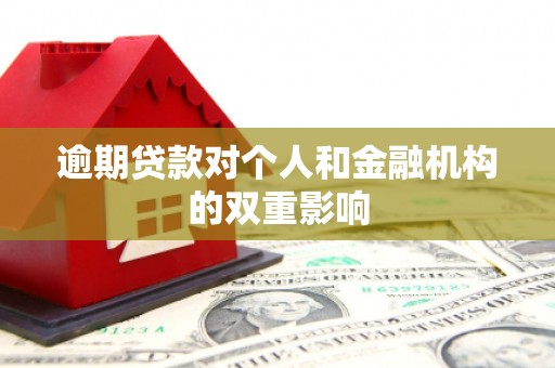 贵州逾期贷款对个人和金融机构的双重影响