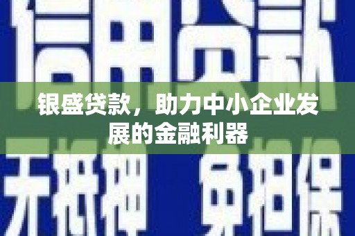 贵州银盛贷款，助力中小企业发展的金融利器