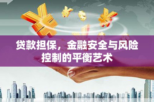 贵州贷款担保，金融安全与风险控制的平衡艺术