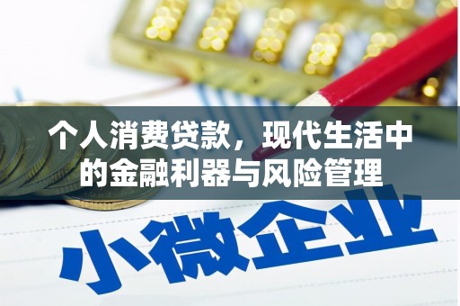 贵州个人消费贷款，现代生活中的金融利器与风险管理