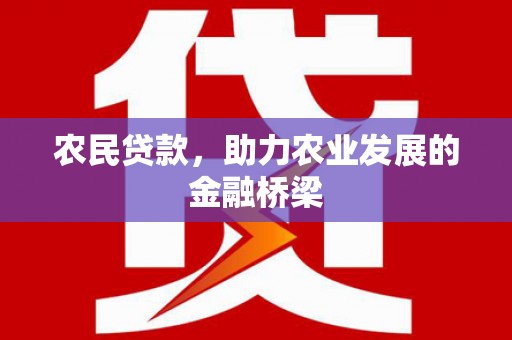 贵州农民贷款，助力农业发展的金融桥梁