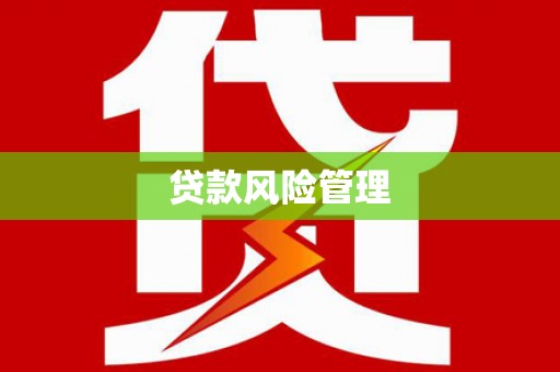 贵州贷款风险管理
