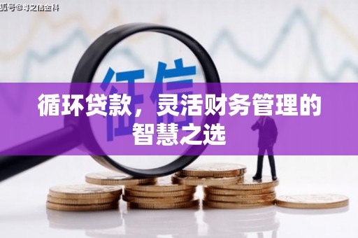 贵州循环贷款，灵活财务管理的智慧之选