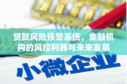 贵州贷款风险预警系统，金融机构的风控利器与未来发展