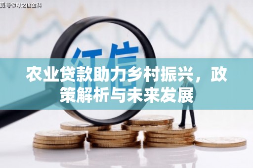 贵州农业贷款助力乡村振兴，政策解析与未来发展