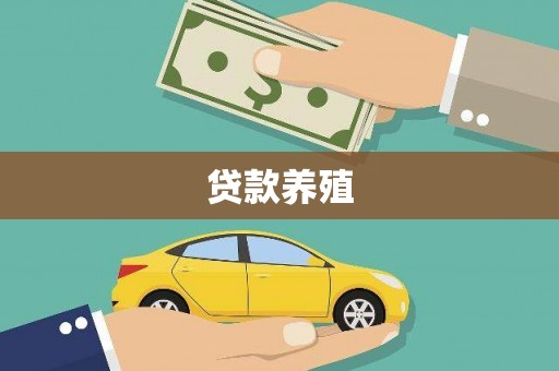 贵州贷款养殖