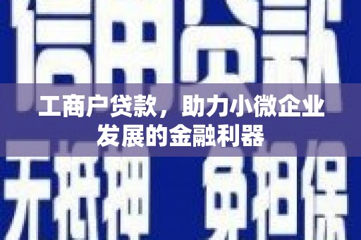 贵州工商户贷款，助力小微企业发展的金融利器