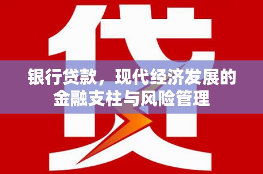 贵州银行贷款，现代经济发展的金融支柱与风险管理