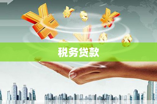 贵州税务贷款