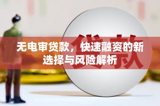 贵州无电审贷款，快速融资的新选择与风险解析