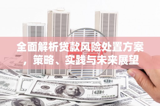 贵州全面解析贷款风险处置方案，策略、实践与未来展望