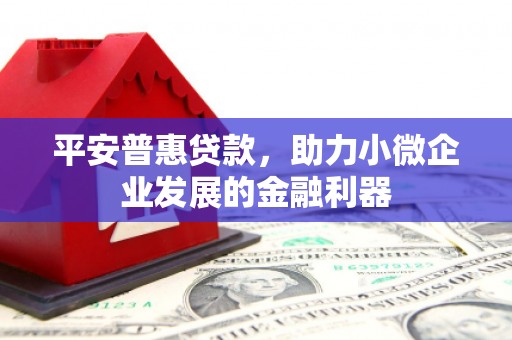 贵州平安普惠贷款，助力小微企业发展的金融利器