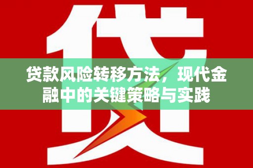 贵州贷款风险转移方法，现代金融中的关键策略与实践