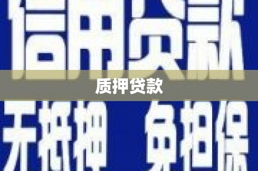 贵州质押贷款