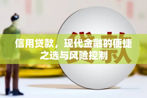 贵州信用贷款，现代金融的便捷之选与风险控制