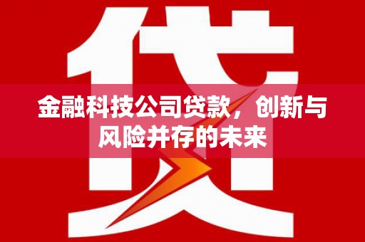 贵州金融科技公司贷款，创新与风险并存的未来
