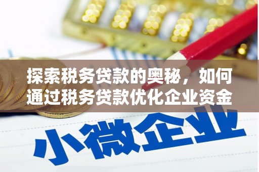 贵州探索税务贷款的奥秘，如何通过税务贷款优化企业资金流