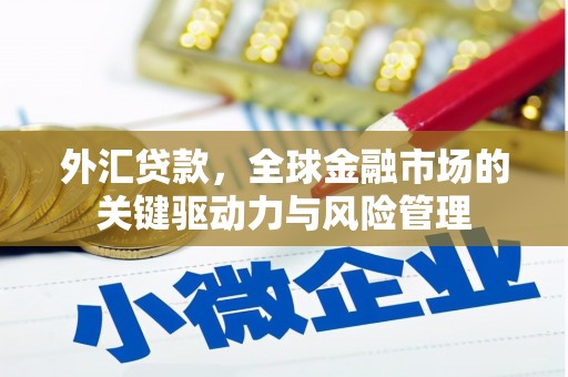 贵州外汇贷款，全球金融市场的关键驱动力与风险管理